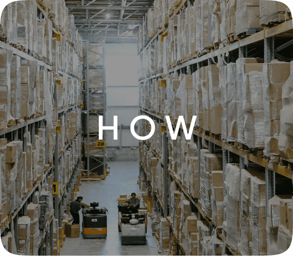 Team member coordinating logistics operations